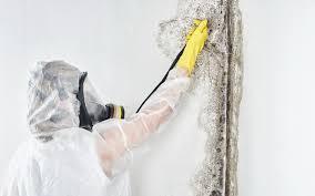 Best Air Quality Testing for Mold Spores  in Huntley, IL